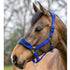 LeMieux Vogue Halter and Leadrope Set